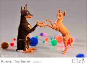 Russian_Toy_Terrier_83
