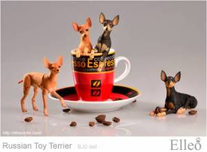 Russian_Toy_Terrier_90