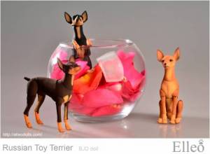 Russian_Toy_Terrier_94