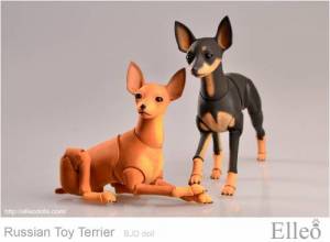 Russian_Toy_Terrier_82