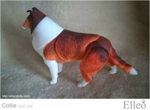 Collie_bjd_doll_76
