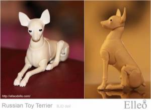 Russian_Toy_Terrier_73