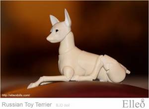 Russian_Toy_Terrier_74