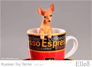 Russian_Toy_Terrier_92