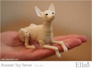 Russian_Toy_Terrier_71