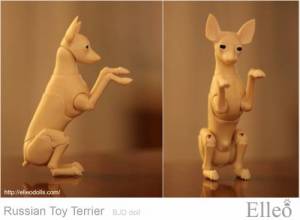 Russian_Toy_Terrier_70