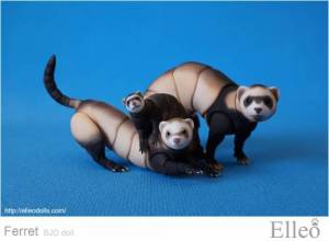 ferret_bjd_doll_72