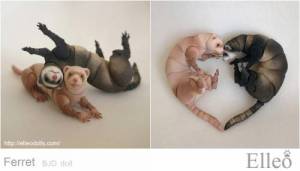 ferret_bjd_doll_98