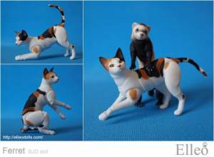 ferret_cat_02