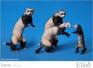 ferret_bjd_doll_67