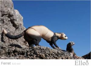 ferret_bjd_doll_54