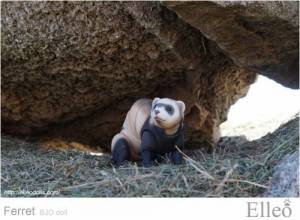 ferret_bjd_doll_58