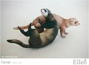 ferret_bjd_doll_92