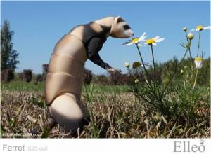 ferret_bjd_doll_43