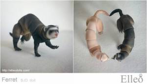 ferret_bjd_doll_96