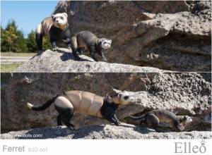 ferret_bjd_doll_56