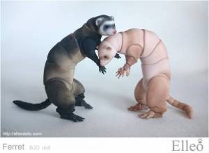 ferret_bjd_doll_86