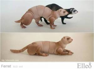 ferret_bjd_doll_90