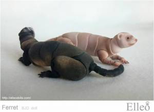 ferret_bjd_doll_83