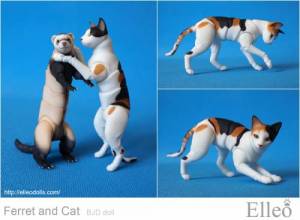 ferret_cat_01