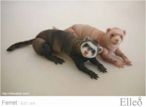 ferret_bjd_doll_81