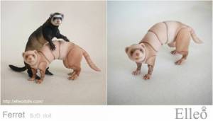 ferret_bjd_doll_97