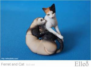 ferret_cat_05