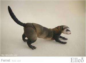 ferret_bjd_doll_80