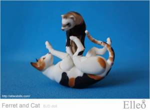 ferret_cat_03