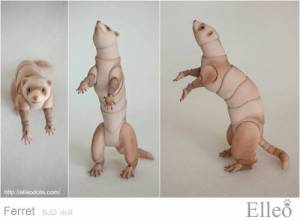 ferret_bjd_doll_87