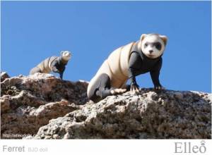 ferret_bjd_doll_52