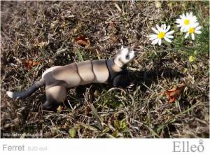 ferret_bjd_doll_46