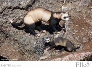 ferret_bjd_doll_55