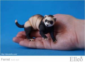 ferret_bjd_doll_66