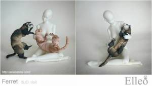 ferret_bjd_doll_95