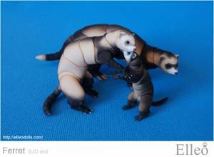 ferret_bjd_doll_68