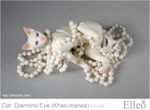 khao-manee_cat_bjd_78