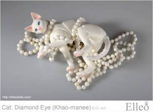 khao-manee_cat_bjd_77
