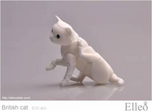 British_cat_doll_51