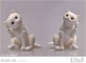 British_cat_doll_52