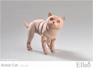 British_cat_doll_78