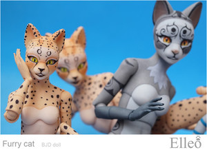 FurryCat_06