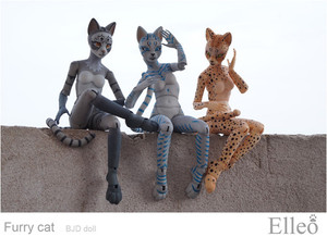 FurryCat_18