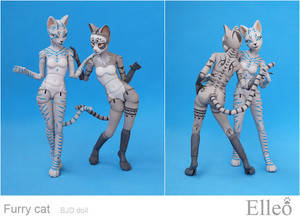 FurryCat_11