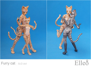 FurryCat_09