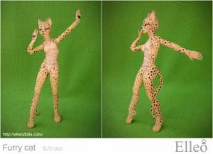 FurryCat_79