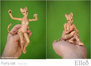 FurryCat_81