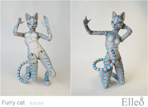 FurryCat_14