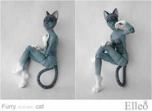 FurryCat_94