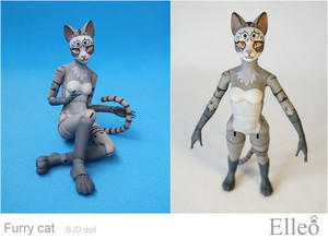 FurryCat_08